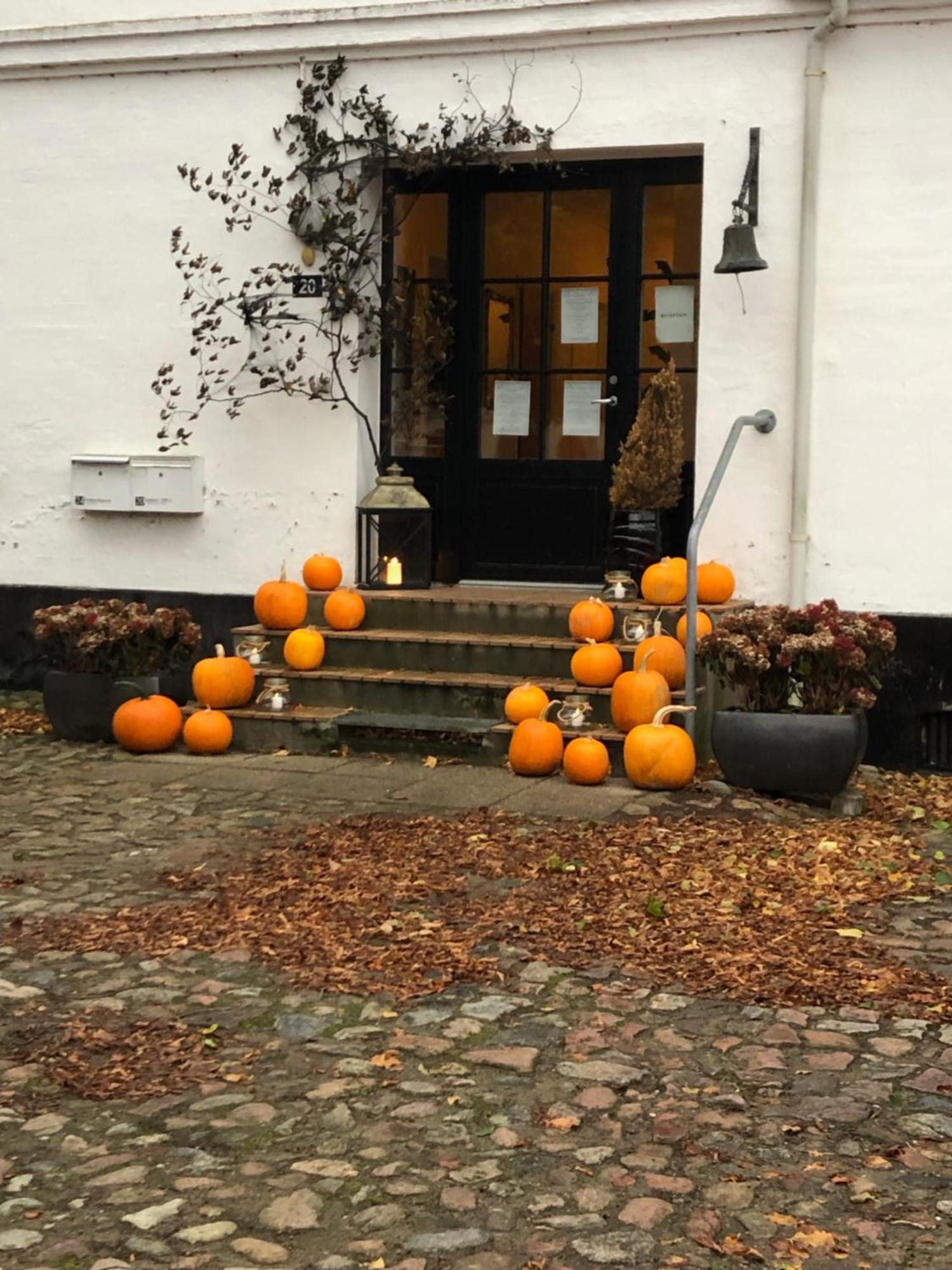 Bed and Breakfast Ronhave Sønderborg Zewnętrze zdjęcie