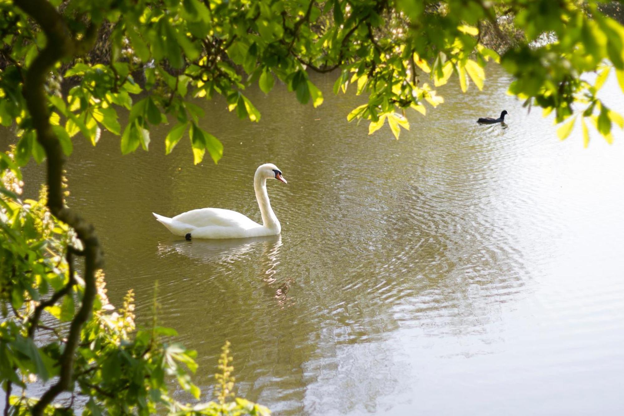 Bed and Breakfast Ronhave Sønderborg Zewnętrze zdjęcie
